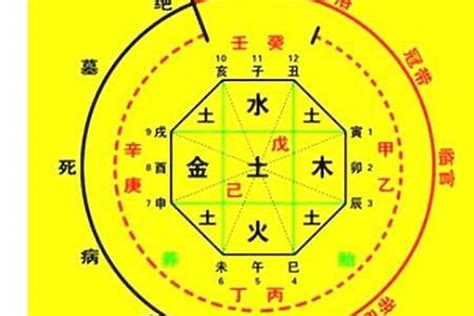 喜用神 木|八字入门基础 第六篇 如何判断八字喜用神